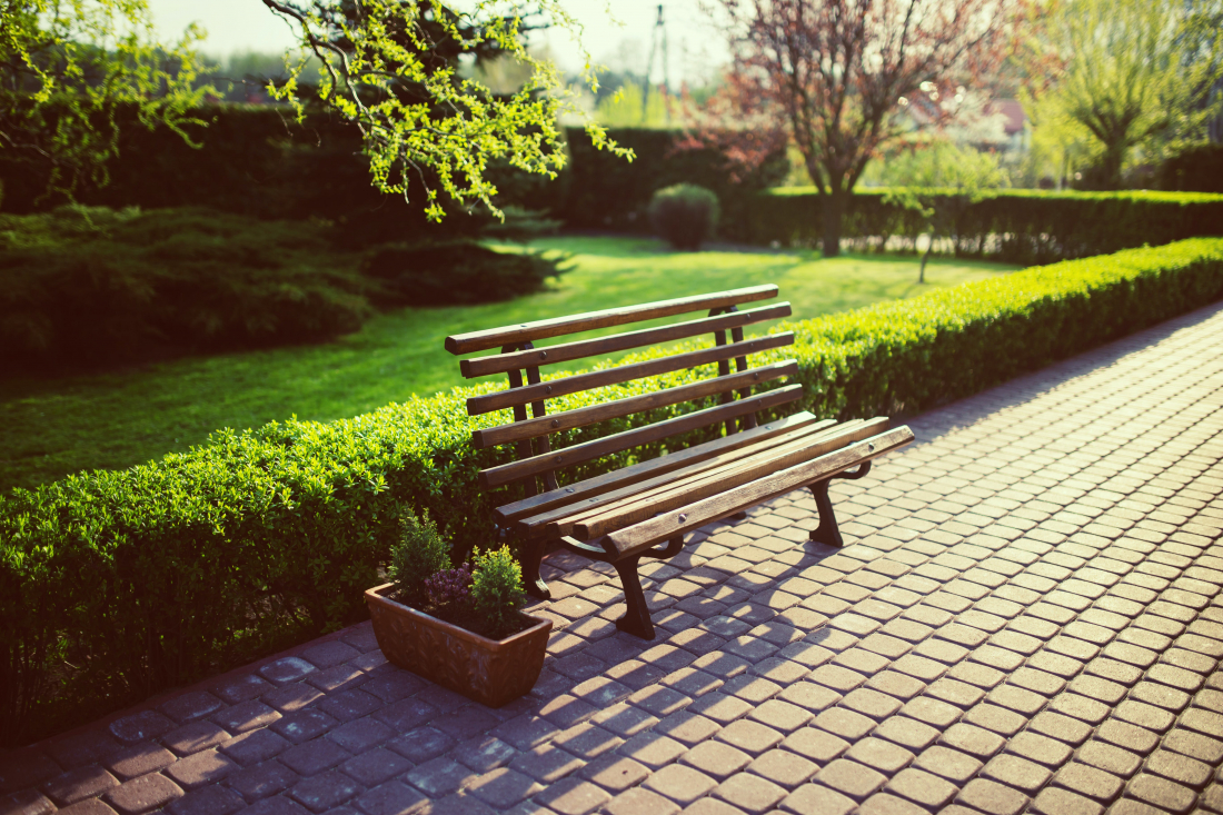 bench garden grass evening