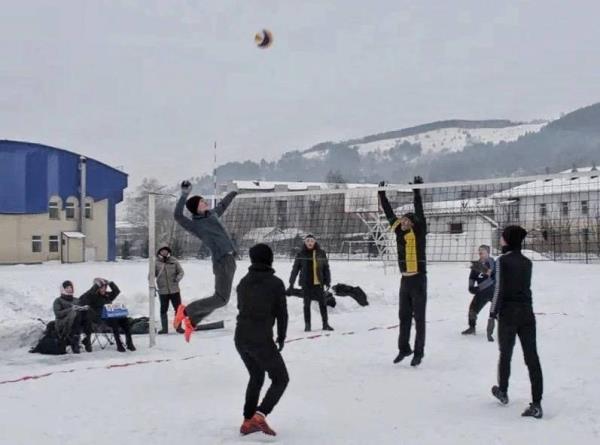 voleibol